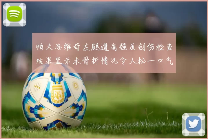 帕夫洛维奇左腿遭高强度创伤检查结果显示未骨折情况令人松一口气